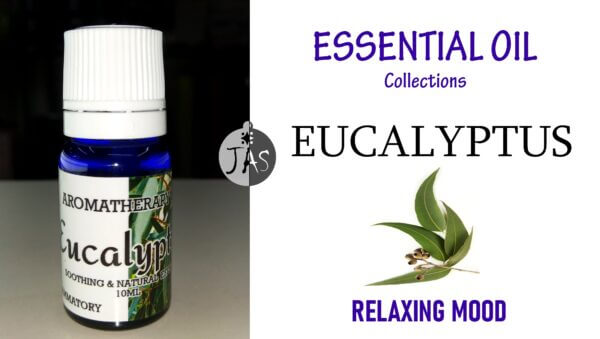 eucalyptus-min